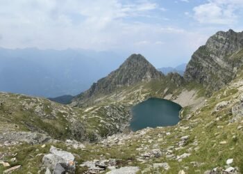 Claro, aquí tienes 10 sugerencias de títulos en español que podrían posicionar bien en Google: