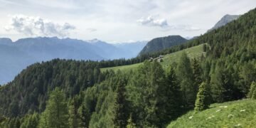 Claro, aquí tienes 10 sugerencias de títulos atractivos y optimizados para posicionar en Google sobre Cala d’Hort en Ibiza: