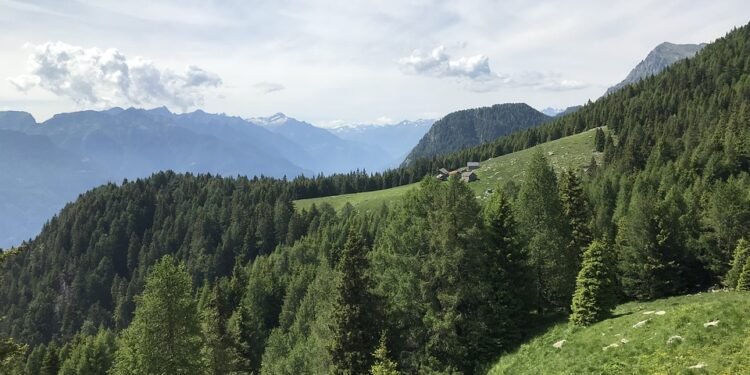 Claro, aquí tienes 10 sugerencias de títulos atractivos y optimizados para posicionar en Google sobre Cala d’Hort en Ibiza: